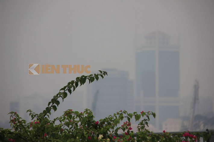Hình ảnh tuyệt đẹp hiếm hoi khiến người đi đường không bỏ cơ hội ghi lại.