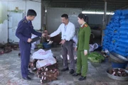  Kiểm tra đột xuất, phát hiện gần 6 tấn thực phẩm không rõ nguồn gốc ở Thanh Hóa