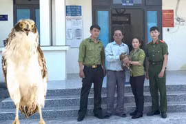Giao nộp loài chim hoang dã khắc tinh của rắn để thả về tự nhiên