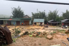 Quảng Ngãi xảy ra hơn 120 điểm sạt lở, thiệt hại lớn về hạ tầng giao thông