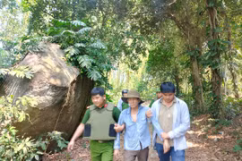 Công an xã Sơn Tịnh truy bắt đối tượng gây thương tích, cố thủ trên núi