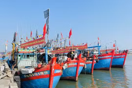 Lộc biển đầu năm, ngư dân Quảng Ngãi bội thu cá cơm