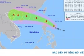 Bão Wipha sẽ di chuyển nhanh,đạt cấp 10 khi vào Biển Đông