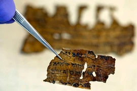 AI qua mặt nhà khảo cổ, khám phá tuổi của cuốn sách quý