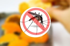 “Sốt” máy đuổi muỗi tích hợp công nghệ mùa mưa