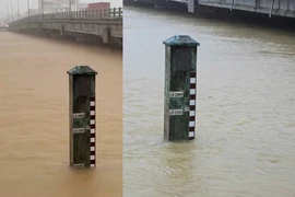 Lũ trên các sông ở Quảng Ngãi lên cao, cận kề mức lịch sử 