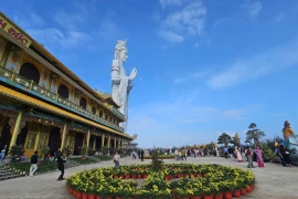 Du lịch Quảng Ngãi thắng lớn dịp Tết với hơn 610.000 lượt khách