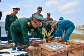 'Trận địa' pháo hoa sẵn sàng thắp sáng bầu trời Quảng Ngãi 