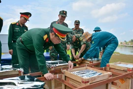 'Trận địa' pháo hoa sẵn sàng thắp sáng bầu trời Quảng Ngãi 