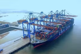 Kinh tế Quảng Ngãi đón nhận tin vui đầu Xuân Bính Ngọ 