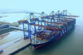 Kinh tế Quảng Ngãi đón nhận tin vui đầu Xuân Bính Ngọ 