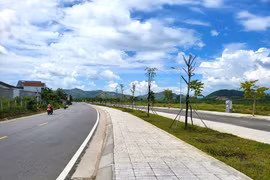 Bất thường đấu giá trúng 16 lô đất rồi bỏ cọc ở Quảng Ngãi