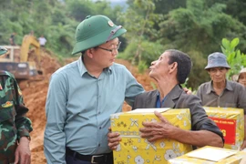 Phó Thủ tướng Hồ Quốc Dũng kiểm tra công tác khắc phục sạt lở ở Quảng Ngãi