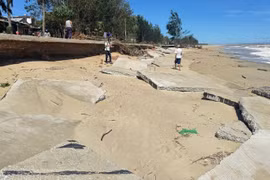 Quảng Ngãi đầu tư 950 tỷ đồng bảo vệ biển Cửa Lở