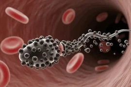 Robot 'zombie' dẫn thuốc trị ung thư từ thứ không ai ngờ tới