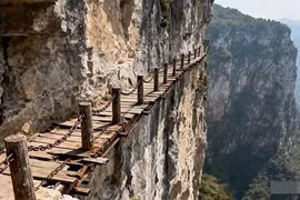 'Ba con đường không nên đi' chứa đựng điềm báo cuộc đời