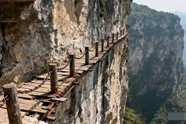 'Ba con đường không nên đi' chứa đựng điềm báo cuộc đời