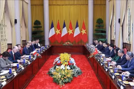 Chủ tịch nước Lương Cường hội đàm với Tổng thống Pháp Macron