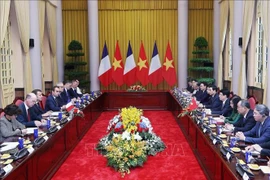 Chủ tịch nước Lương Cường hội đàm với Tổng thống Pháp Macron