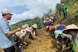 Hơn 2.000 người dân xã Ngọc Linh chung tay khắc phục sạt lở