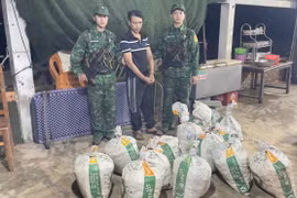 Gần 360 kg thuốc nổ cất giấu trong quán hải sản