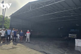 Cận cảnh khu đất chờ làm công viên ở TP HCM thành bãi tập kết rác