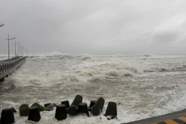 3 người ở đặc khu Lý Sơn bị trôi dạt trên thúng vẫn chưa được tìm thấy