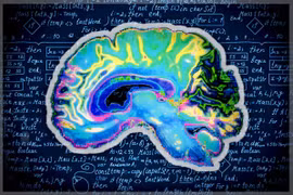 Não người thoái hóa sau nhiều ngày dùng ChatGPT