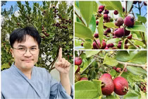 Vườn cây trĩu quả trong biệt thự nghỉ dưỡng của 'MC giàu nhất Việt Nam' 