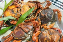 Tận thấy loài cua Việt sáng ngang tôm hùm Alaska, 1 triệu đồng/kg 