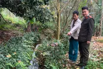 Xử phạt hơn 100 triệu đồng chủ trang trại lợn gây ô nhiễm ở Phú Thọ