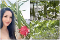 Vườn sân thượng trĩu quả trong biệt thự 1.000m2 của Giáng My