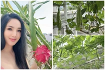 Vườn sân thượng trĩu quả của biệt thự 1000m2 của Giáng My