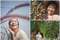 Thích mắt khu vườn ngập rau củ và hoa trái của nghệ sĩ Tú Oanh 
