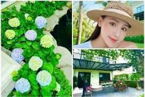 Ngắm biệt thự rực sắc hoa của "sao nữ giàu nhất miền Bắc"