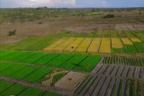 Trang trại Quang Linh Vlogs ở Angola chỉ là phim trường ?