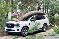 View - Cận cảnh hàng trăm ô tô quây lại trước tòa chung cư Hà Nội tránh bão Wipha | Báo Tri thức và Cuộc sống - TIN TỨC PHỔ BIẾN KIẾN THỨC 24H