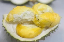 Sầu riêng 700.000 đồng vẫn "cháy hàng" ngon cỡ nào?