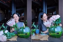 Cận cảnh không gian sống ngập tràn cây xanh của diva Hồng Nhung