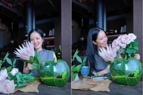 Cận cảnh không gian sống ngập tràn cây xanh của diva Hồng Nhung