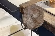 Đại gia chi chục triệu chỉ để thử món ăn từ phân voi 