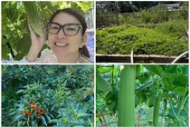 Khu vườn xanh mướt trong biệt thự của ca sĩ Phạm Thanh Thảo 