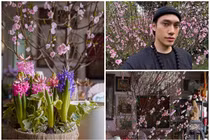 Ngôi nhà ngập hoa đào đón Tết của NTK Lý Quí Khánh