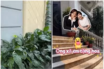 Khoảng xanh đắt giá trong biệt thự 300 tỷ của vợ chồng Việt Hương 