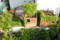 Ngôi nhà ống hiện đại kết hợp vườn xanh mướt tại Hà Nội