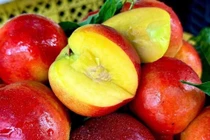 Hé lộ nguồn gốc đào trơn giá rẻ đang bán tràn lan thị trường