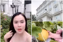 Vườn rau tốt um trong biệt thự 200 tỷ của Hoa hậu Phương Lê 