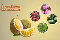 5 loại trái cây vào mùa rớt giá mạnh