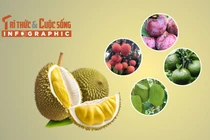 5 loại trái cây vào mùa rớt giá mạnh