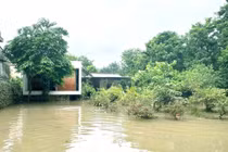 Ngôi nhà có khả năng thích ứng với ngập lụt ở Nghệ An 